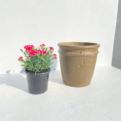 2 Ring Pot Medium Rustic Antique Amber Finish - H310mm x W300mm - 8kg