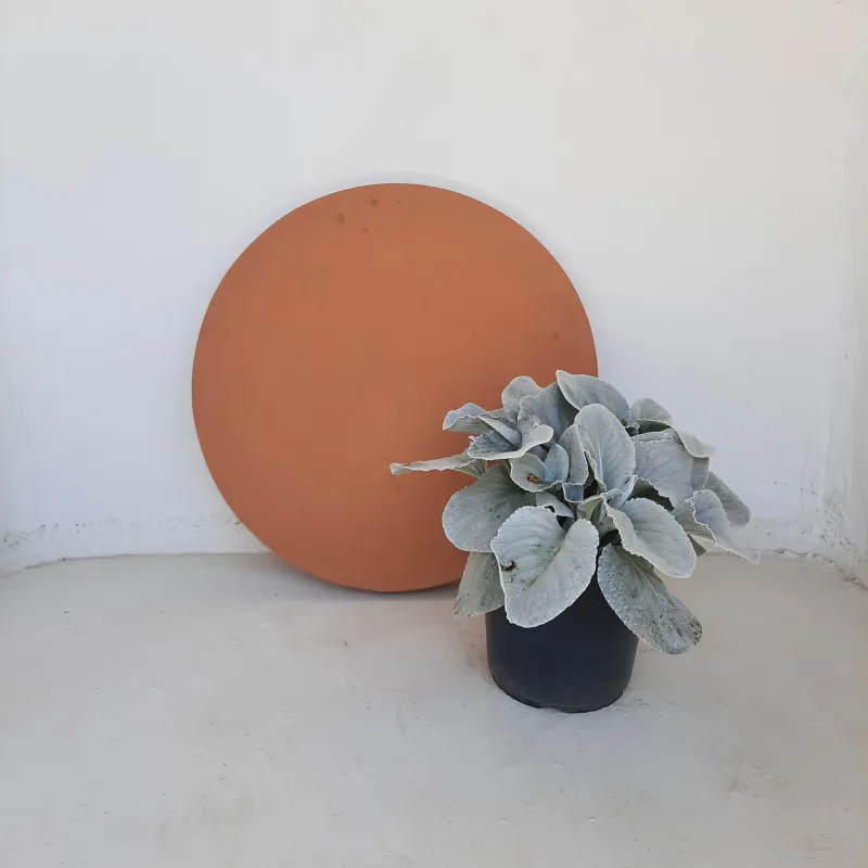 Round Stepping Stone EXTRA LARGE Soft Tan - 585x60mm - 39kg