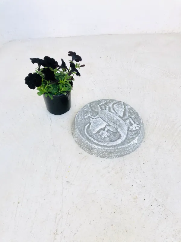 Bug Stone Gecko Whitewash Finish - 300mm - 8kg