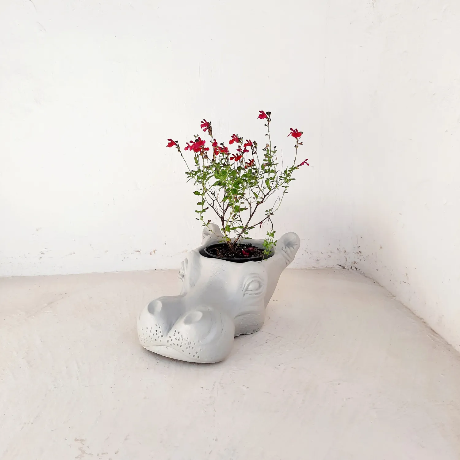 Hippo Planter Cement Colour Finish - H210mm x W280mm x L410mm- 9kg