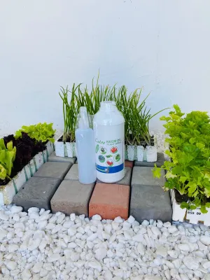 Neem Oil Plant &amp; Crop Spray 1Lt + 250ml Empty Spray Bottle