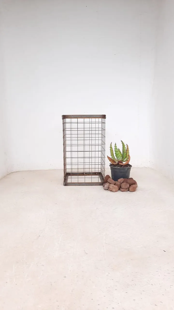 Wire Mesh Rock Planter Small H 500mm W 300mm   (excl rocks and plant)