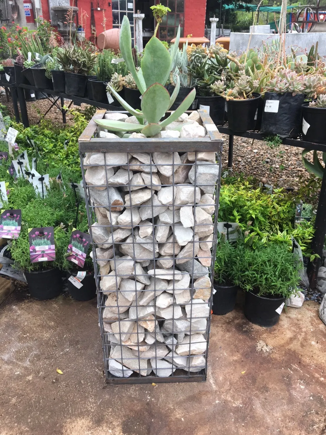 Wire Mesh Rock Planter X-Small H 300mm W 300mm   (excl rocks)