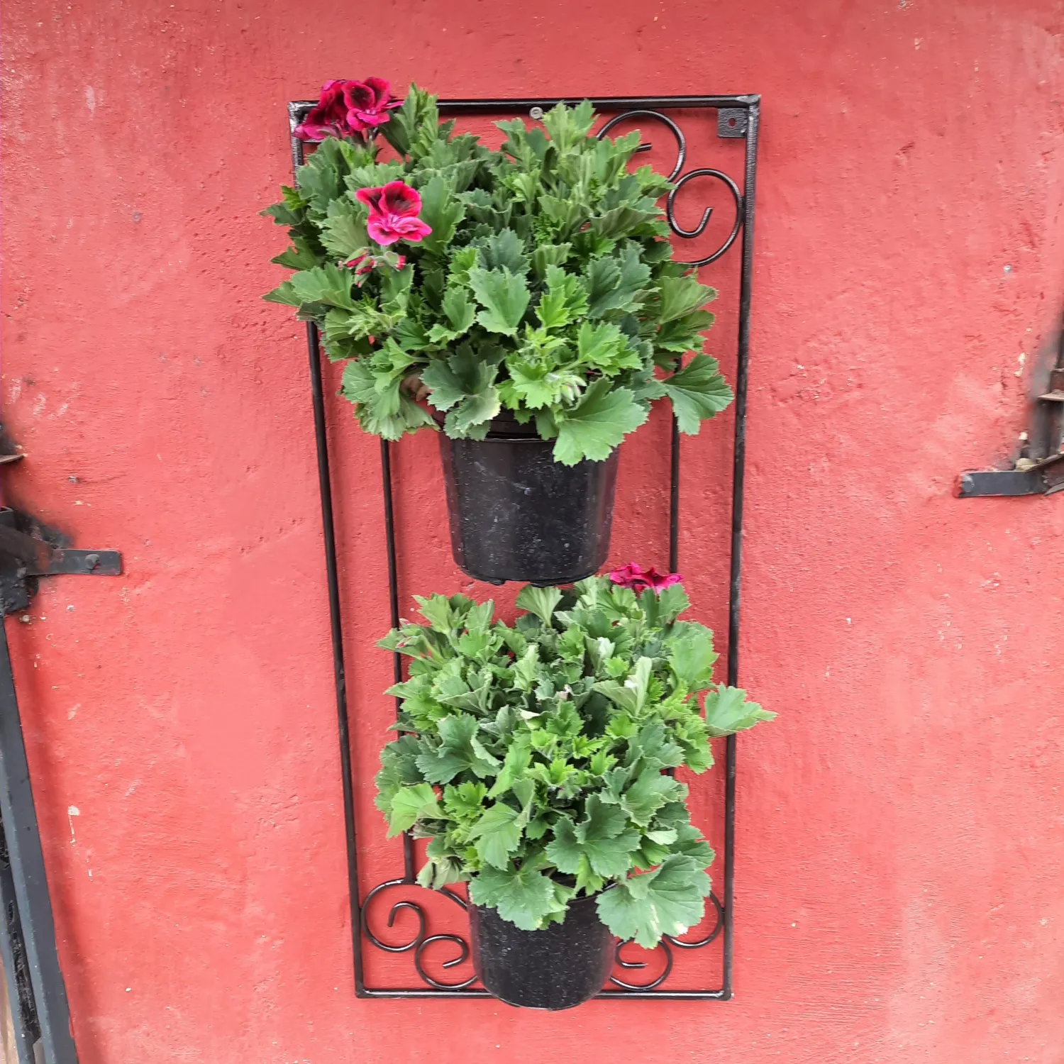 Black Steel Wall Double Potholder - 40x20.5x90cm - 15cm Pot