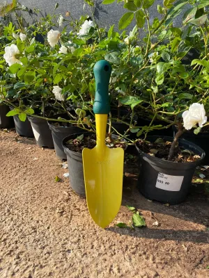 Hand Trowel Poly Handle 340mm