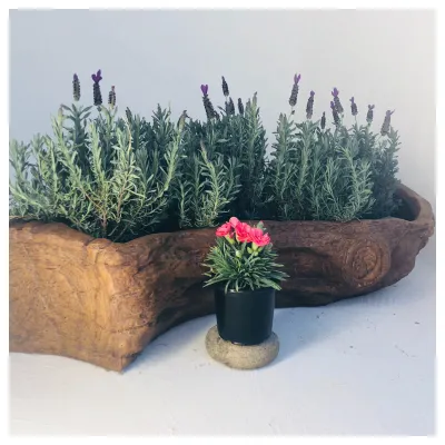 S Shape Log Planter Honeyclay Finish - L1160mm x W520mm x H400mm - 30kg
