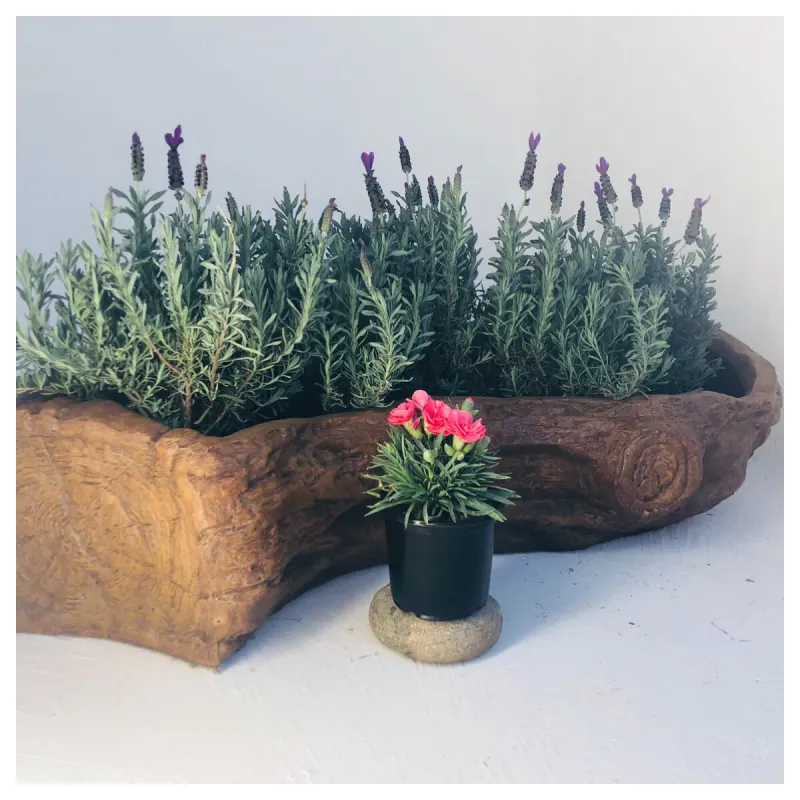 S Shape Log Planter Honeyclay Finish - L1160mm x W520mm x H400mm - 30kg