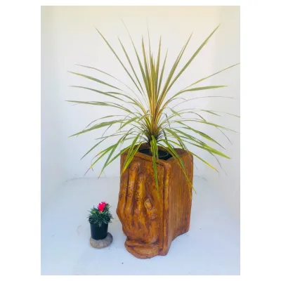 Holding Hands Book Planter Honeyclay Finish - L410mm x W400mm x H470mm - 26kg