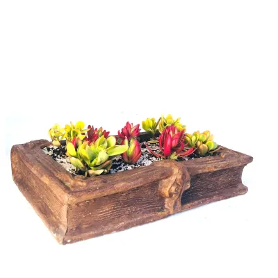 Daisy Book Planter Honeyclay Finish - L510mm x H60mm x W350mm - 12kg