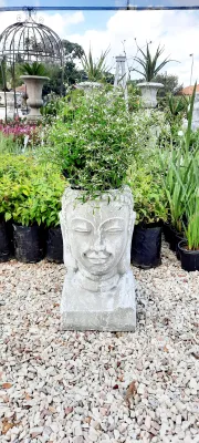 Buddha Head Planter Whitewash Finish - H430mm x W230mm - 13kg
