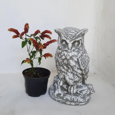 Owl Whitewash Finish - H420mm - 19kg