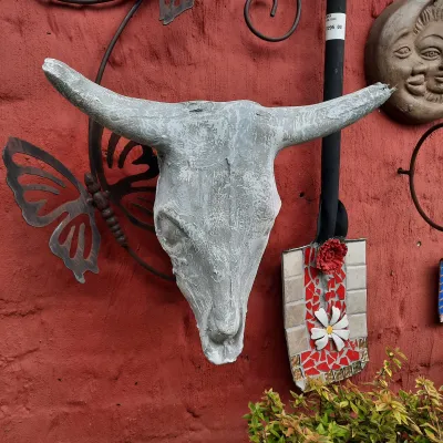 Cattle Head Wall Mount Whitewash Finish - H400mm x W490mm - 11kg