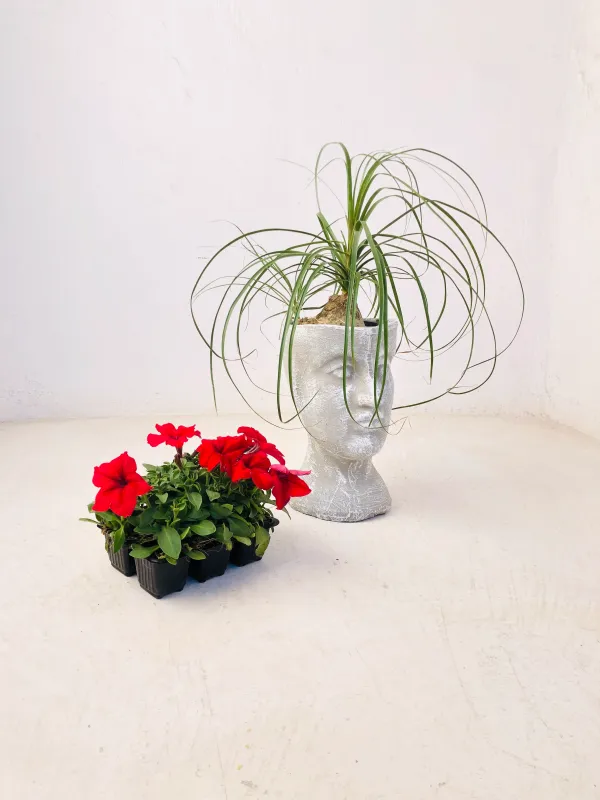 Half Head Planter Large Whitewash Finish - H300mm x W170mm - 3kg