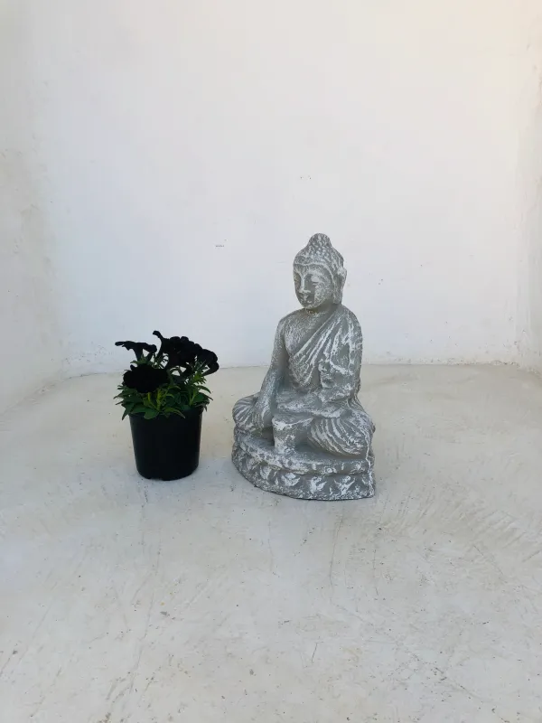 Mudra Earth Witness Whitewash Finish - H430mm x W300mm - 17kg