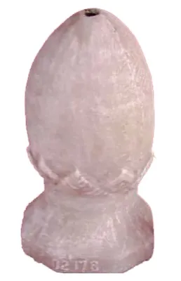 Ostrich Egg