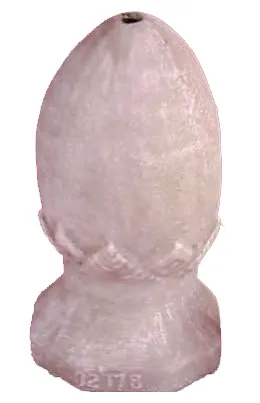 Ostrich Egg
