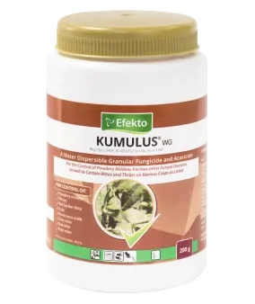 KUMULUS WG 200G
