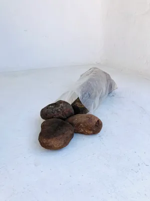 Brown Pebbles X-Large 100-120mm 300 x 600mm bags between 18 and 20kg