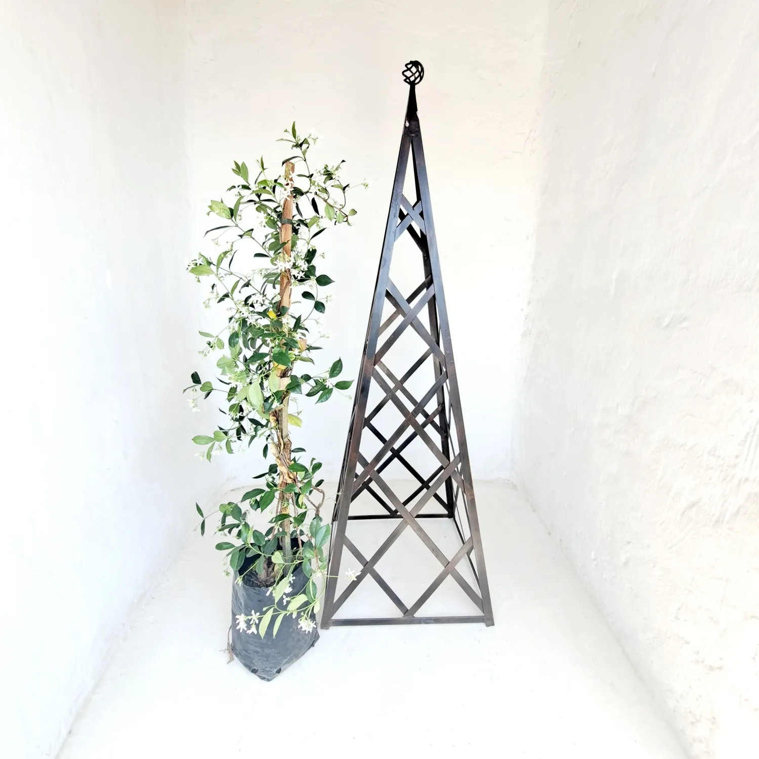 Trellis Obelisk (Brown) - H1500mm