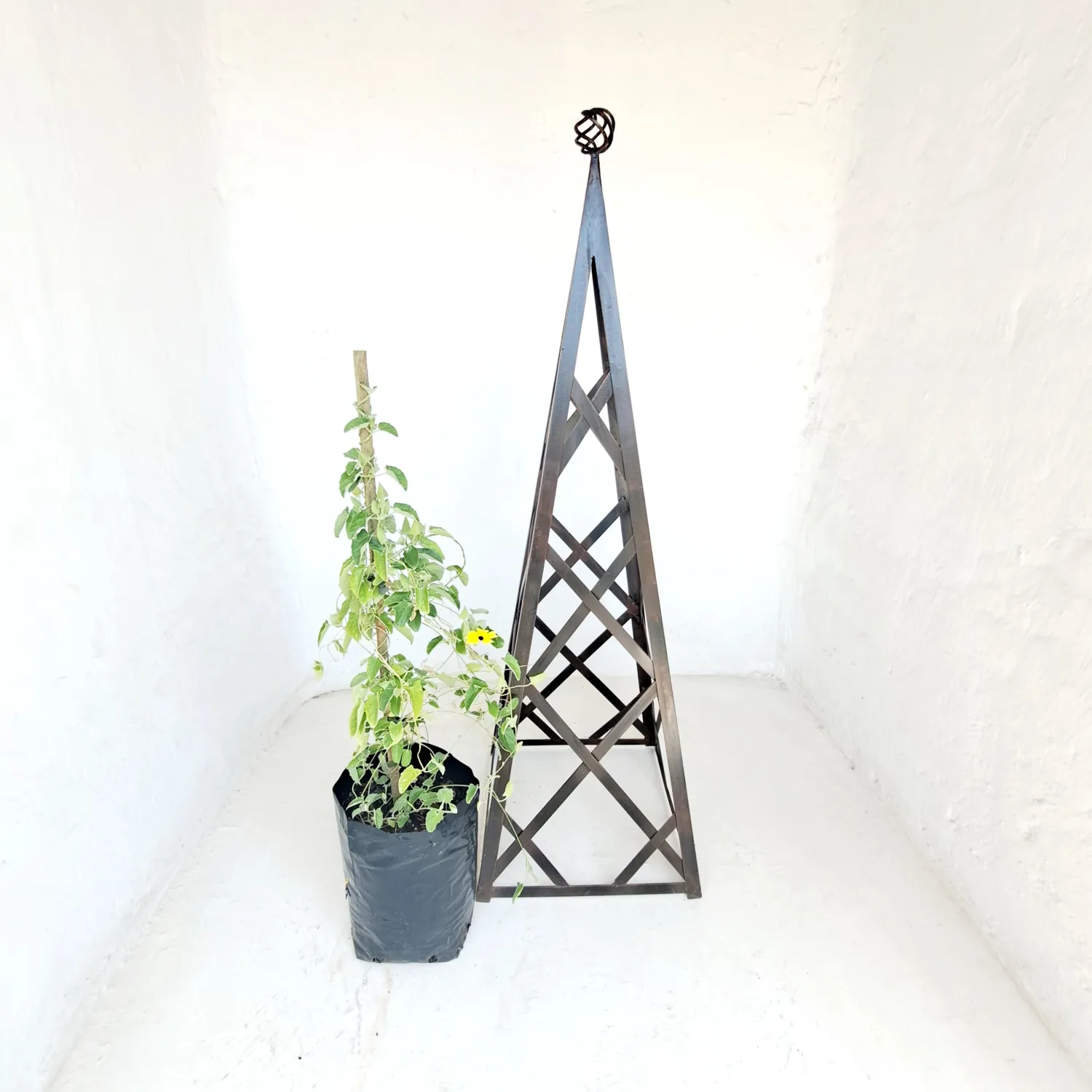 Trellis Obelisk (Brown) - H1200mm