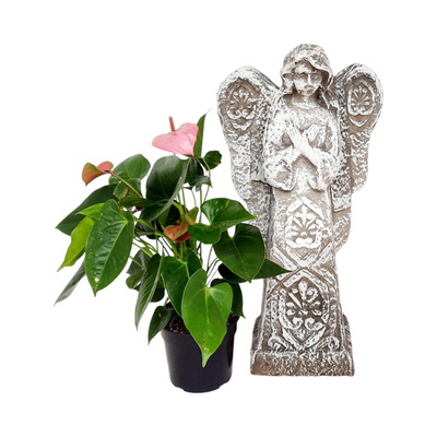 Guardian Angel Whitewash Finish - H560mm