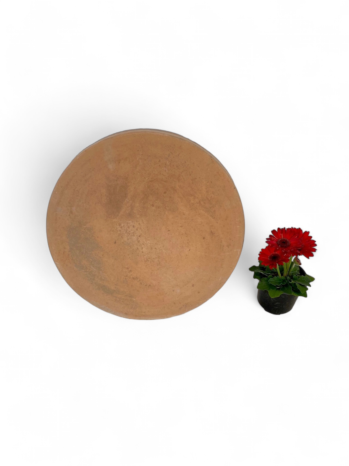 Round Stepping Stone LARGE Soft Tan - 455x50mm - 17kg