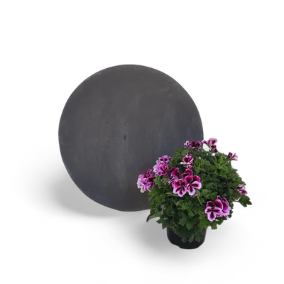 Round Stepping Stone EXTRA LARGE Black - 585x60mm - 39kg