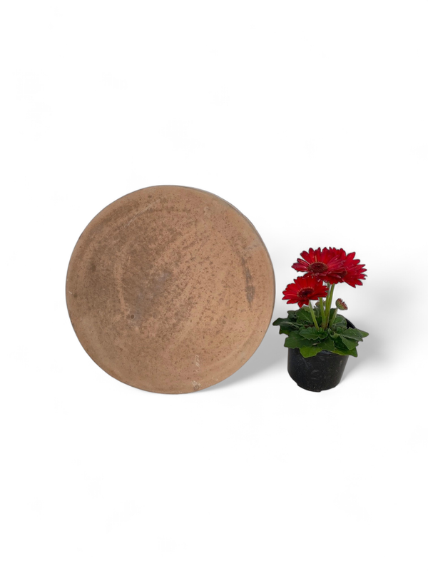 Round Stepping Stone SMALL Soft Tan - 435x50mm - 11kg