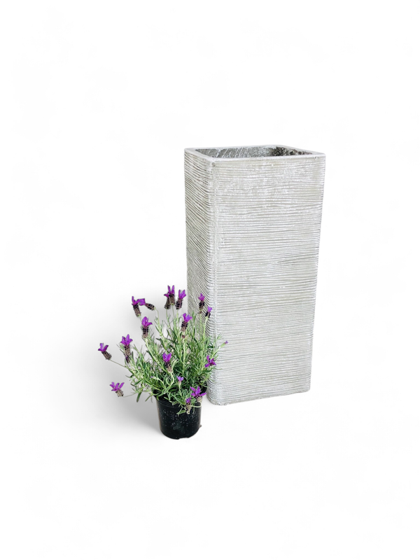 Braided Pillar Pot Large Whitewash Finish - H580mm x W260mm - 20kg