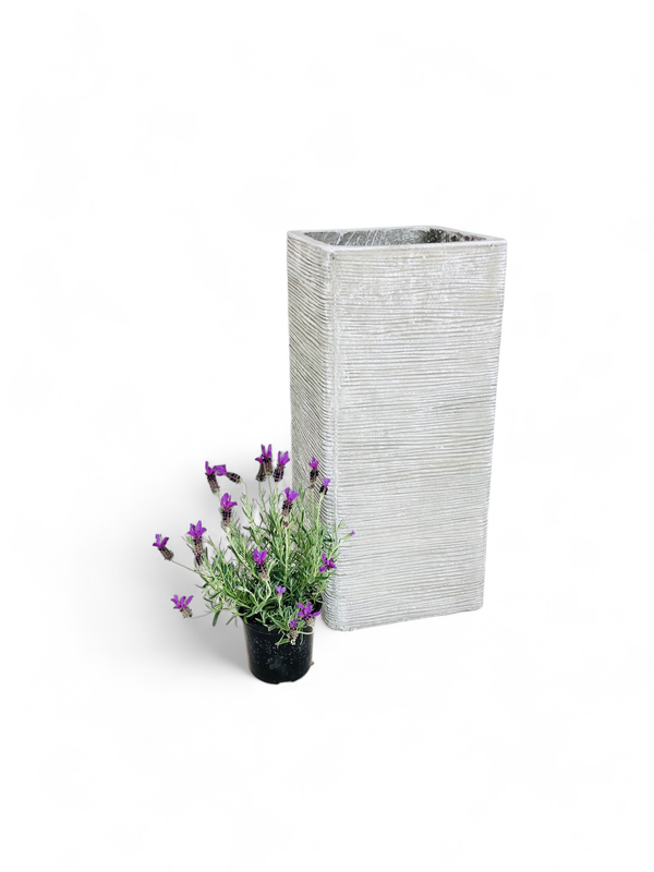 Braided Pillar Pot Extra Large Whitewash Finish - H720mm x W325mm - 29kg