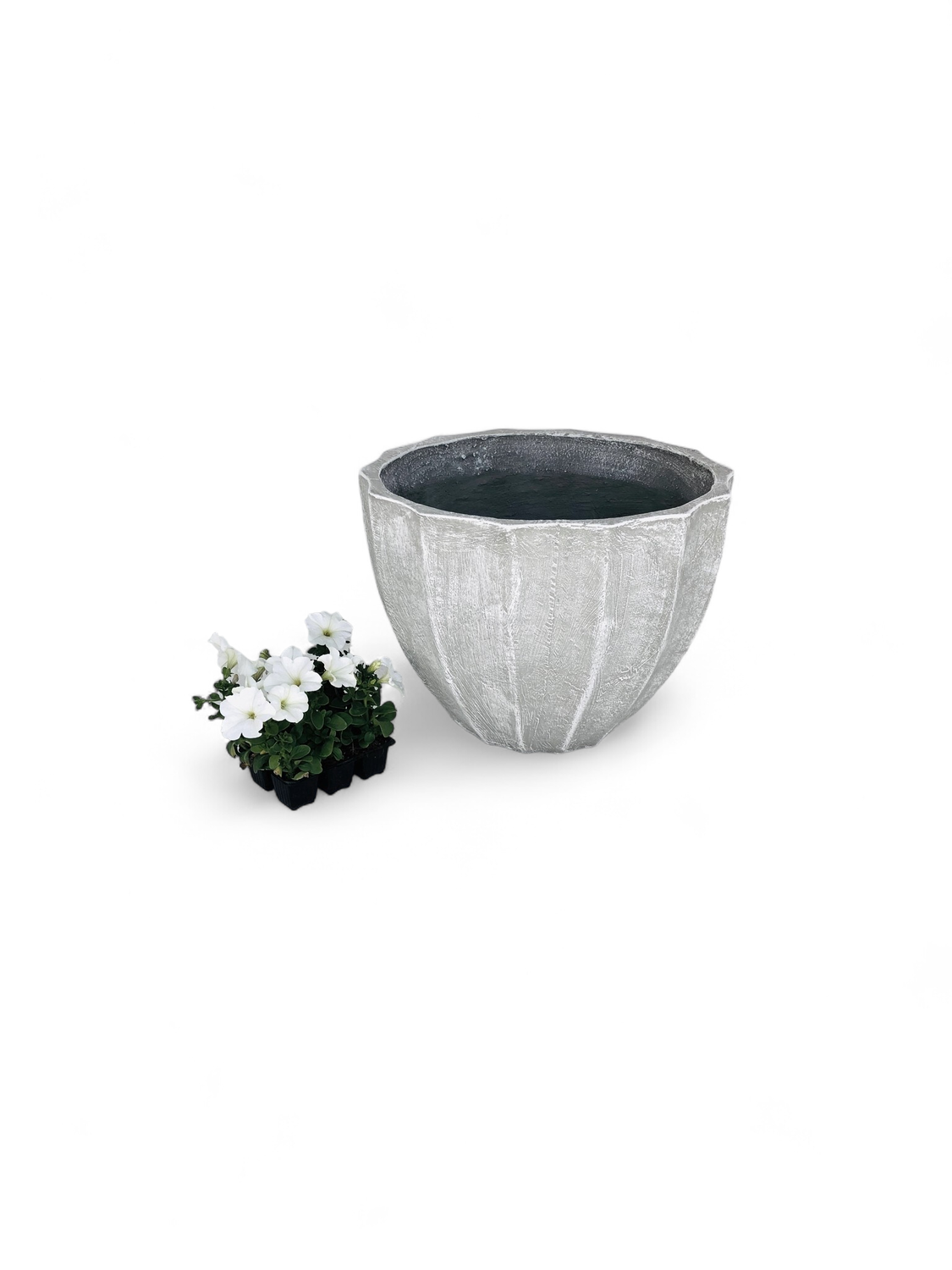 Godiva Pot Medium Whitewash Finish - H320mm x W430mm - 10kg