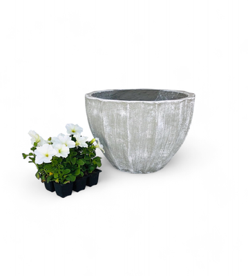 Godiva Pot Large Whitewash Finish - H420mm x W550mm - 17kg