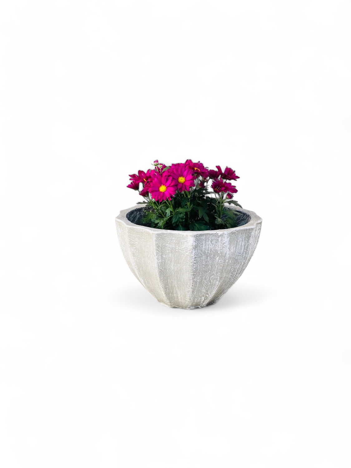 Godiva Pot Small Whitewash Finish - H220mm x W340mm - 6kg