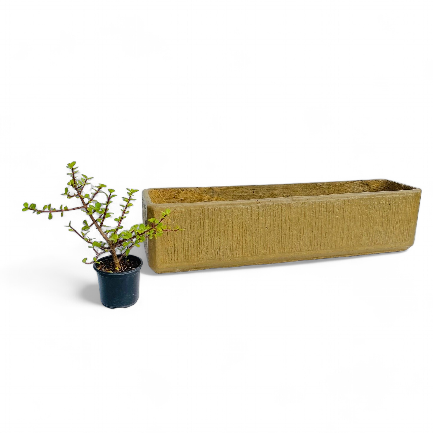 Flower Box Large Antique Amber Finish - L900mm x W200mm x H220 - 22kg