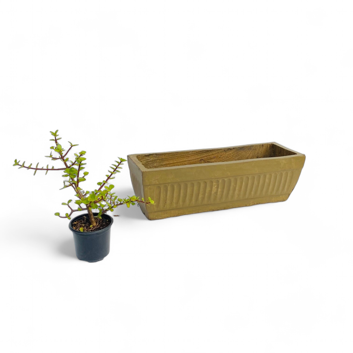 Window Pot Large Antique Amber Finish - L650mm x W150mm - 13kg