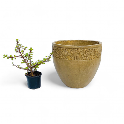 Atlas Pot Medium Antique Amber Finish - H320mm x W350mm - 8kg