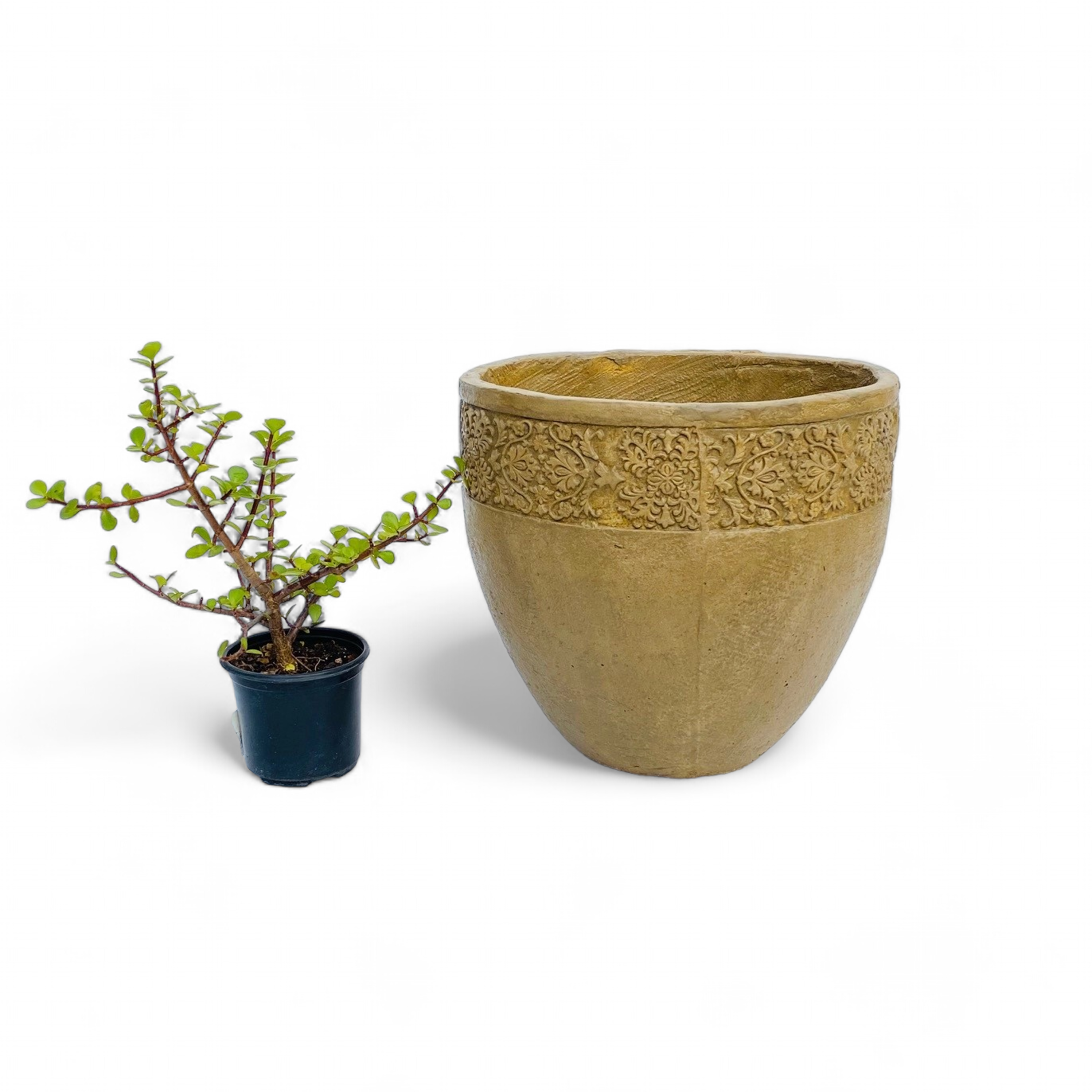Atlas Pot Medium Antique Amber Finish - H320mm x W350mm - 8kg