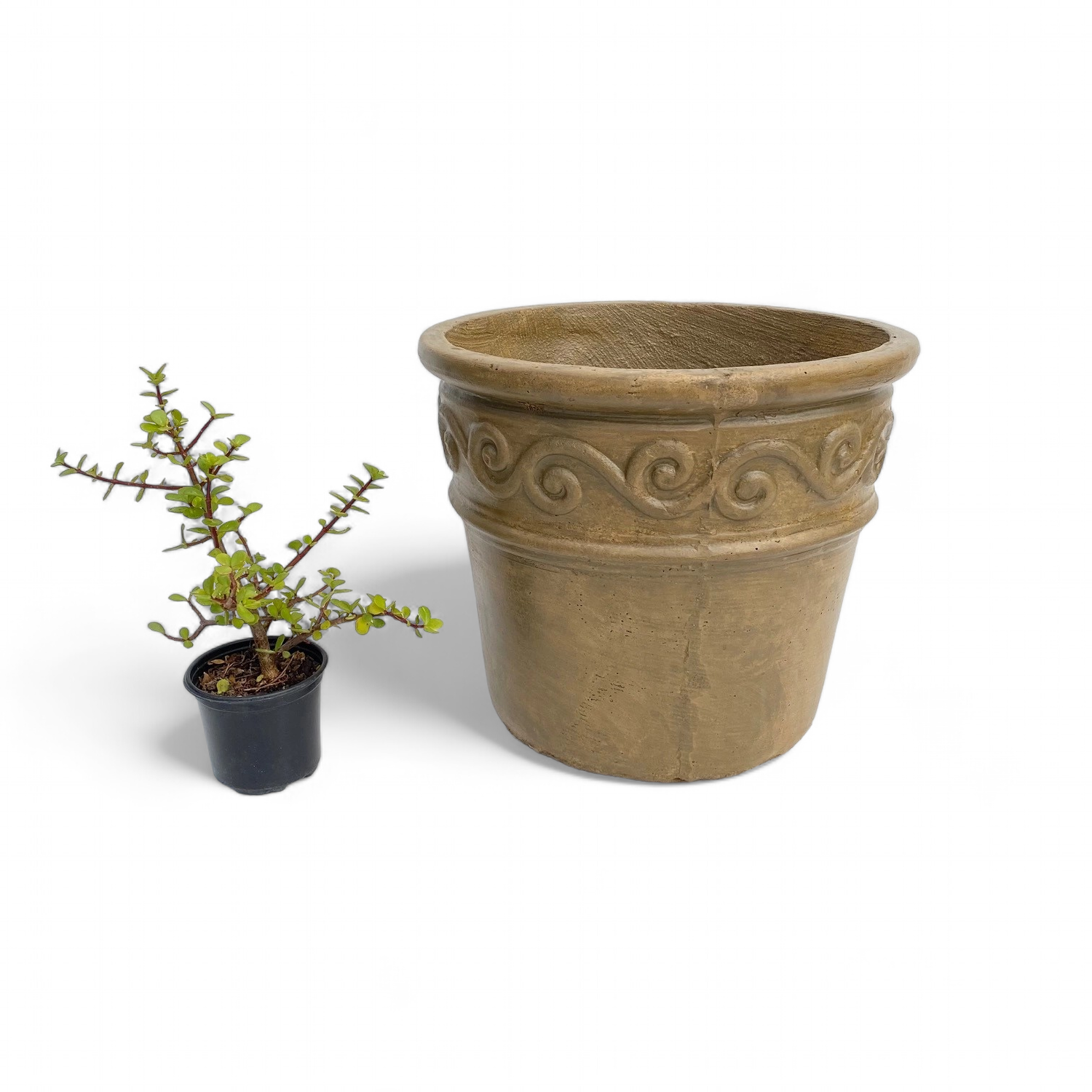 Fragrant Large Antique Amber Finish - H370mm - 15kg