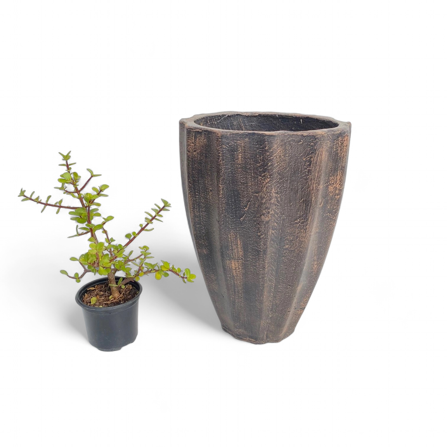 Jackie Pot Small Mecca Brown Finish - H400mm x W300mm - 7kg