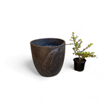 Zig Zag Leaf Pot Medium Mecca Brown Finish - H290mm x W275mm - 7.8kg