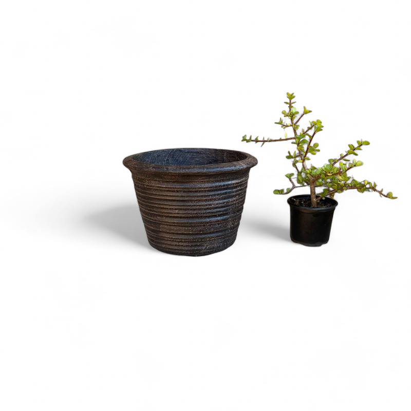 Louvre Pot Small Mecca Brown Finish - H220mm x W310mm - 6kg