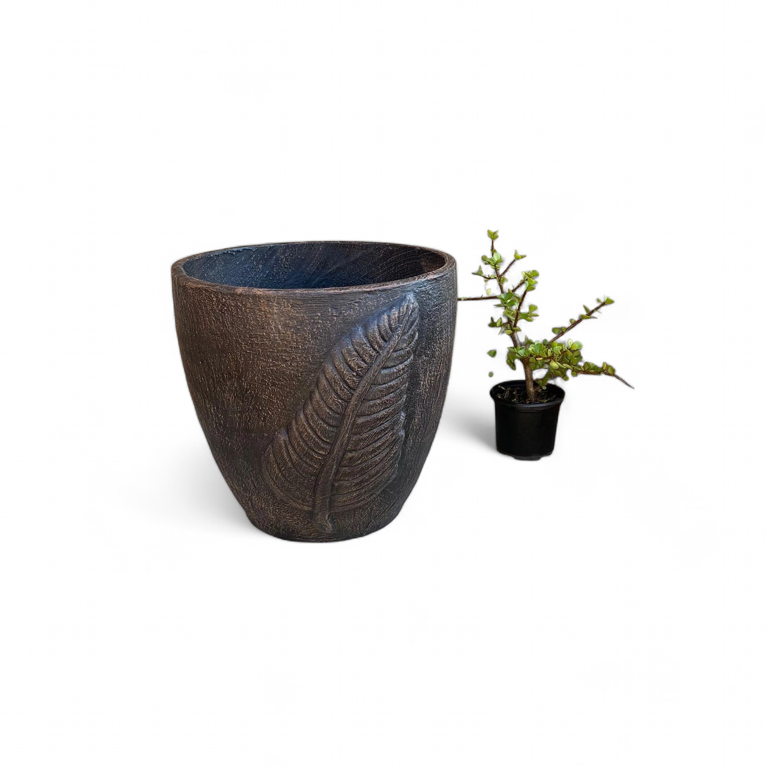 Blaar Pot Large Mecca Brown Finish - H375mm x W350mm - 11kg