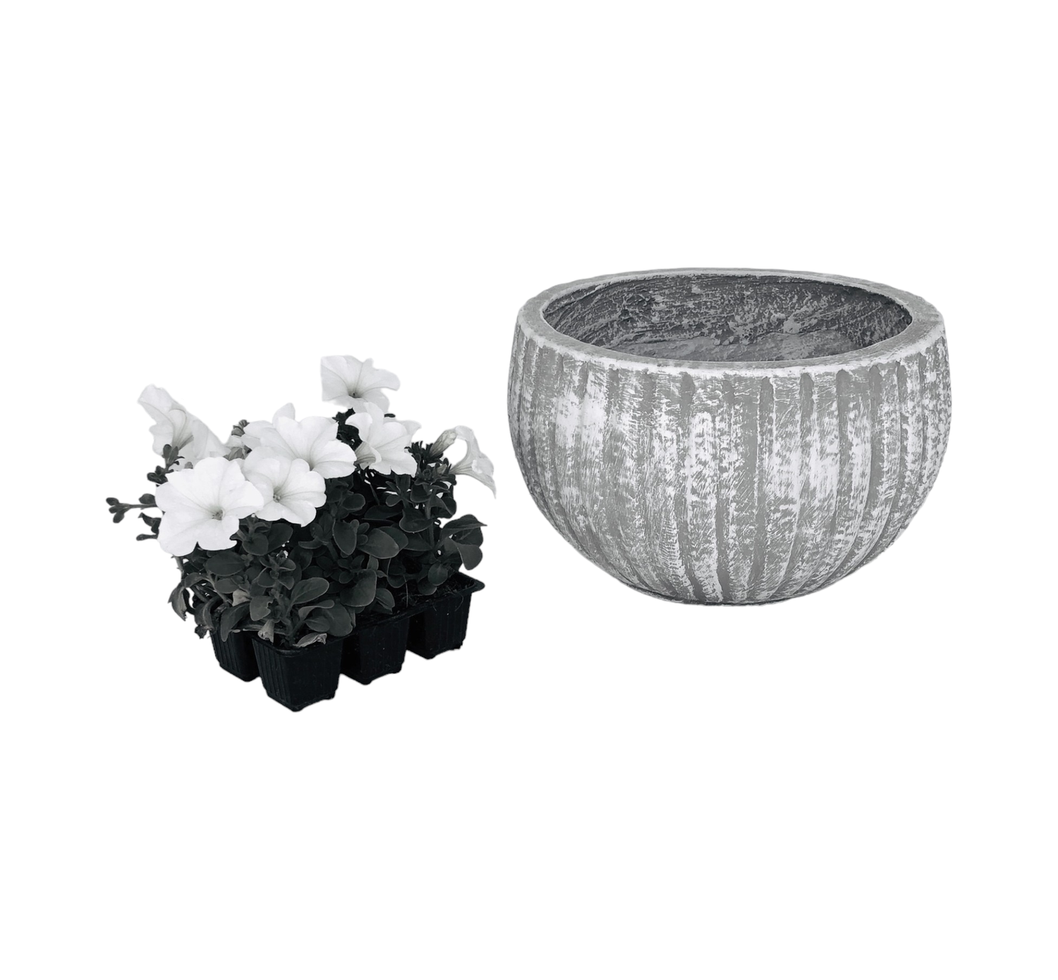 Hekla Pot Medium Whitewash Finish - H230mm x W370mm - 9kg