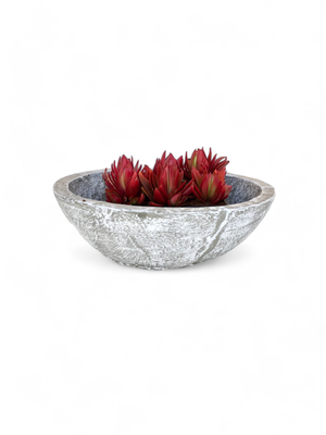 Crassula &amp; Cactus Pot Medium Whitewash Finish - H100mm x W340mm - 4kg