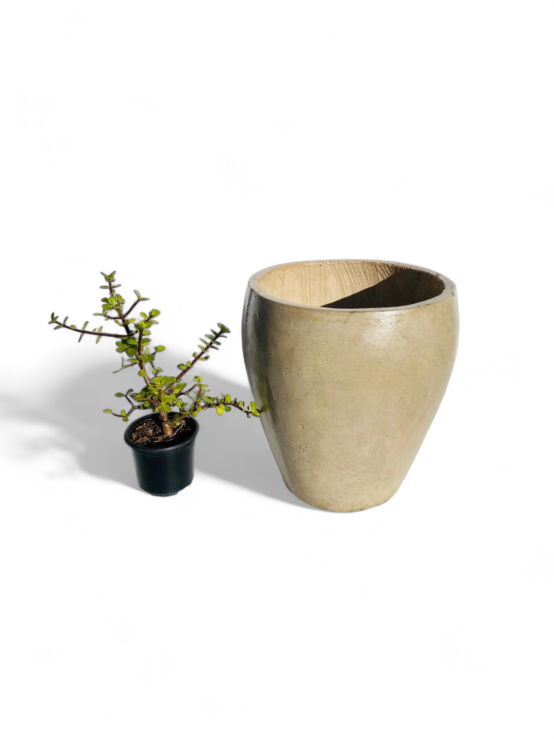 Elegant Medium Cement Seal Finish - H380mm - 10kg