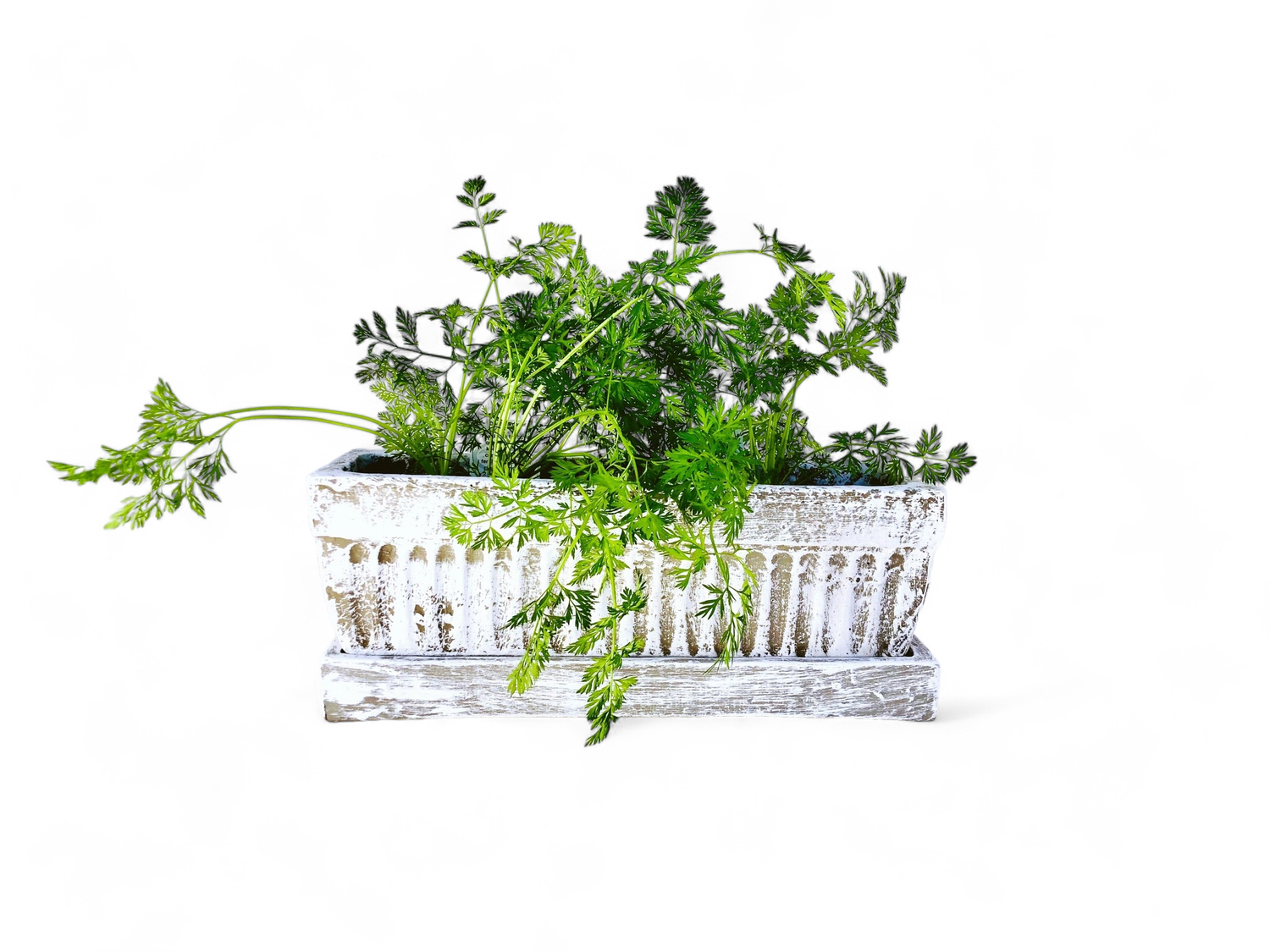 Window Pot Medium Whitewash With Drip Tray - L450mm x W150mm - 9kg