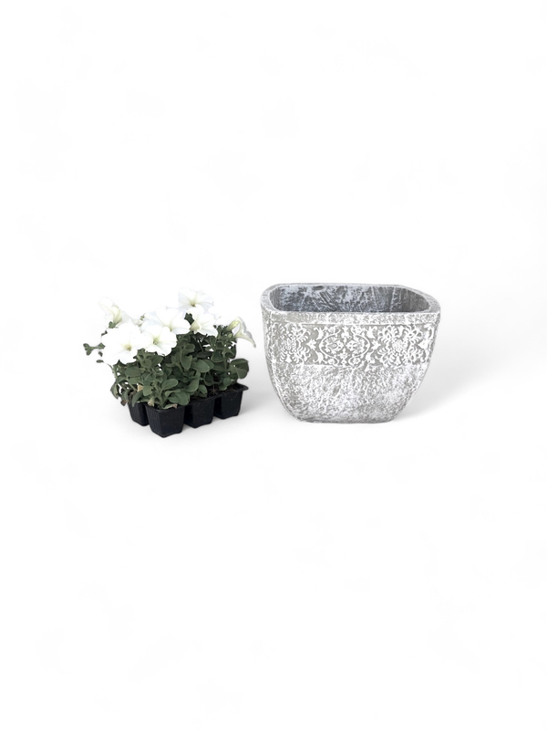 Anvick Pot Medium Whitewash Finish - H210mm x W310mm - 5kg