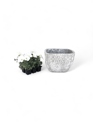 Anvick Pot Medium Whitewash Finish - H210mm x W310mm - 5kg