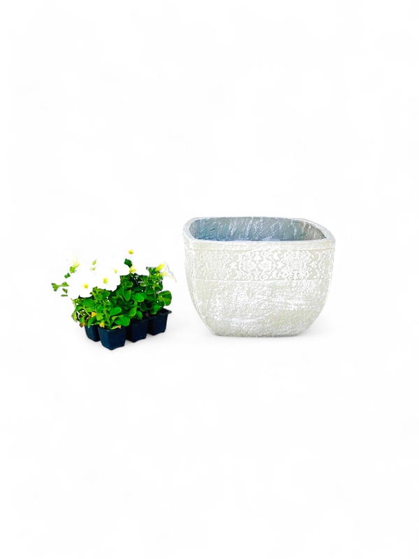 Anvick Pot Large Whitewash Finish - H250mm x W360mm - 8kg