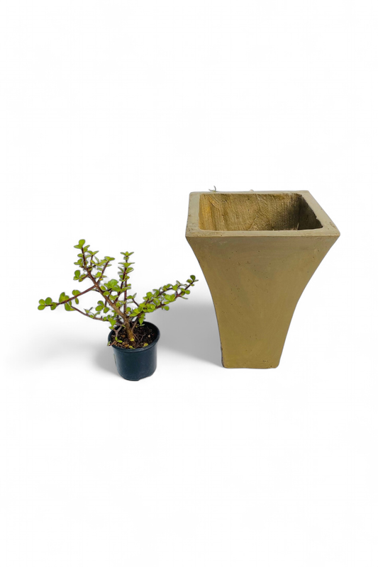 Lorraine Small Antique Amber Finish - H380mm - 8kg